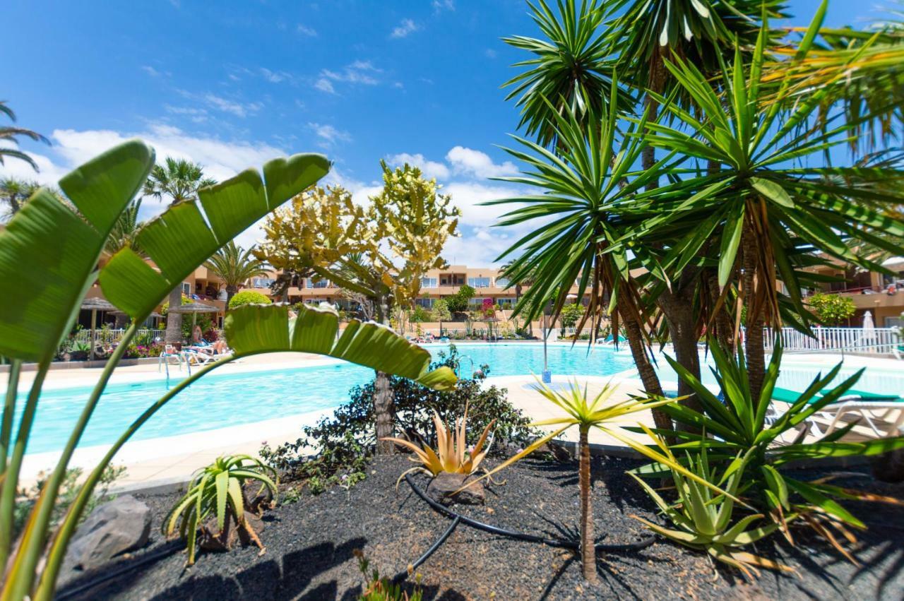 Alicebungalowpoolview-Summer Corralejo Exteriér fotografie
